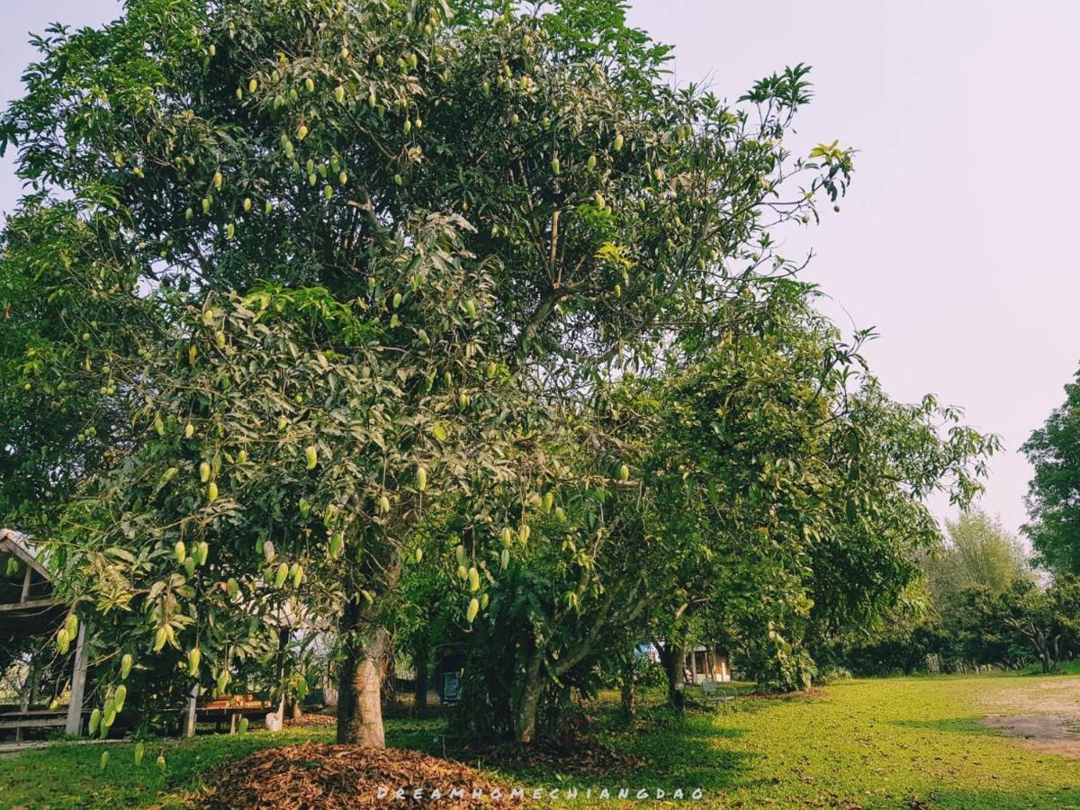 Dreamhome Chiangdao チェンダオ エクステリア 写真